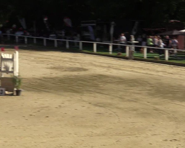 Reitturnier Vellinghausen 2024