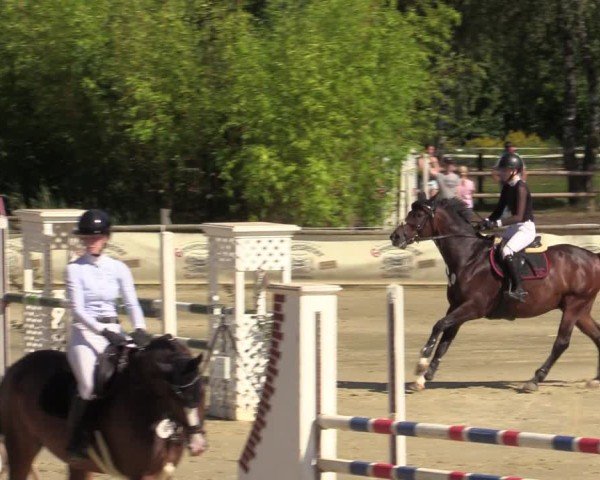 Reitturnier Vellinghausen 2024