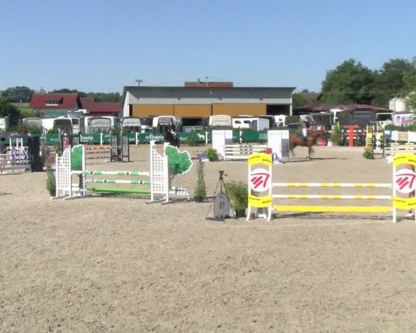 Reitturnier Sauldorf-Boll 2024