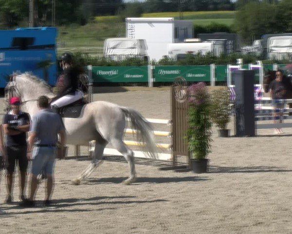 Reitturnier Sauldorf-Boll 2024