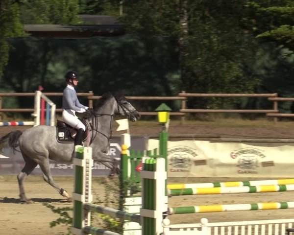 Reitturnier Vellinghausen 2024