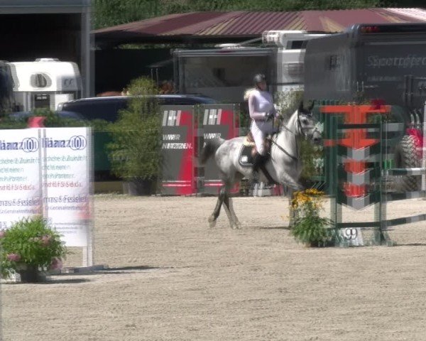 Reitturnier Sauldorf-Boll 2024
