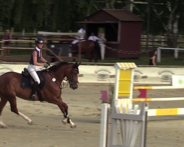 Reitturnier Vellinghausen 2024