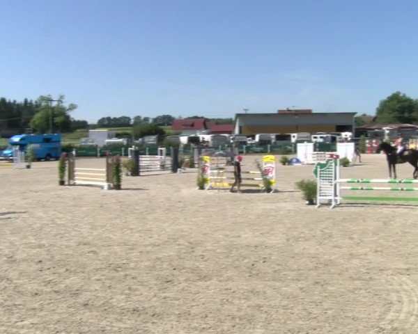 Reitturnier Sauldorf-Boll 2024