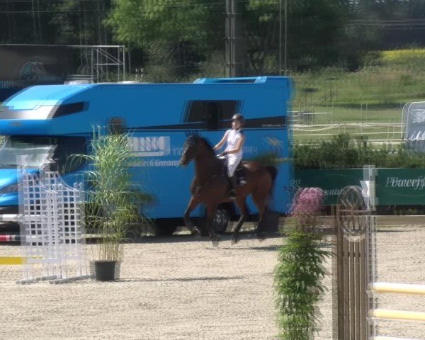 Reitturnier Sauldorf-Boll 2024