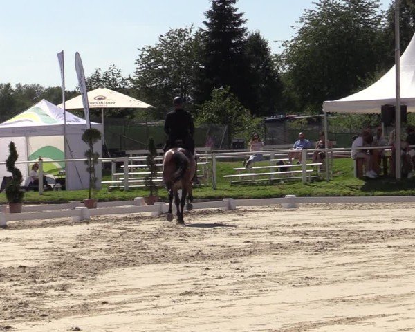 Reitturnier Bergisch Gladbach - Hebborner Hof 2024