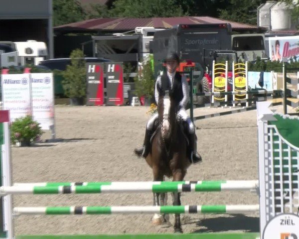 Reitturnier Sauldorf-Boll 2024