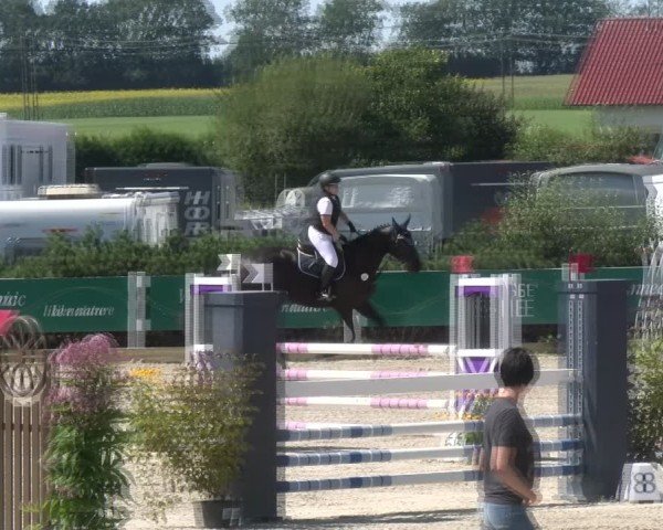 Reitturnier Sauldorf-Boll 2024
