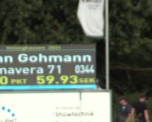 Reitturnier Vellinghausen 2024