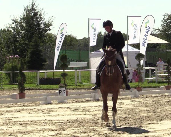 Reitturnier Bergisch Gladbach - Hebborner Hof 2024