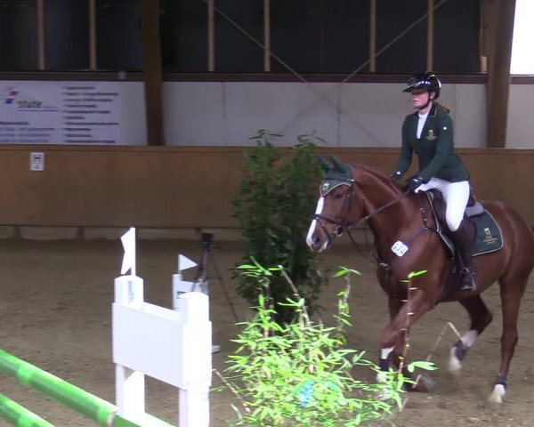 Reitturnier Steinheim 2021