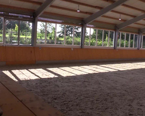 Reitturnier Münster-Amelsbüren 2024