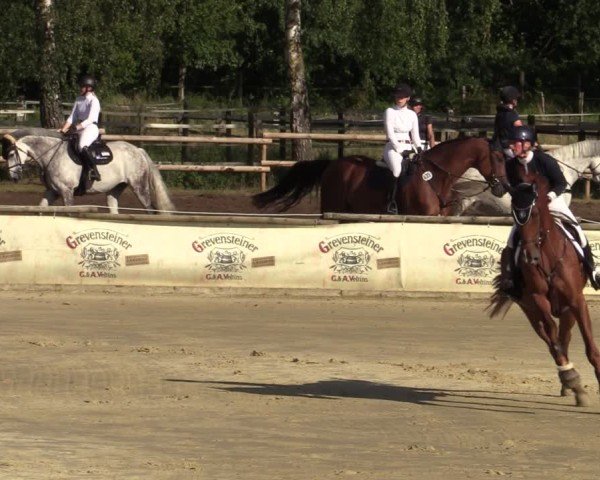 Reitturnier Vellinghausen 2024