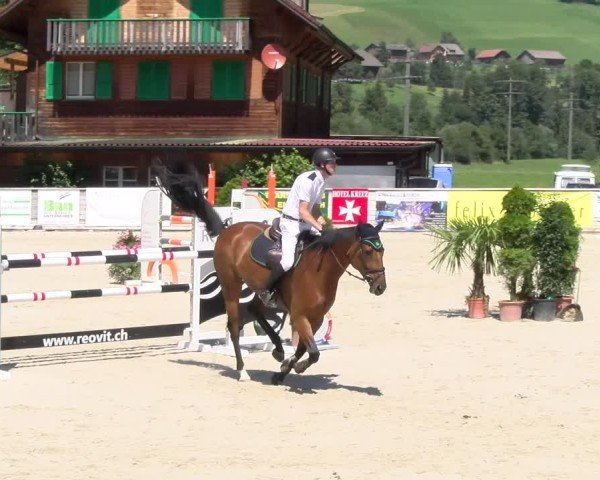Reitturnier Schüpfheim 2024