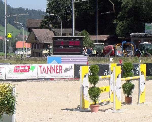 Reitturnier Schüpfheim 2024