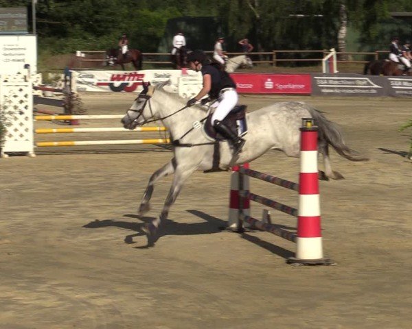 Reitturnier Vellinghausen 2024