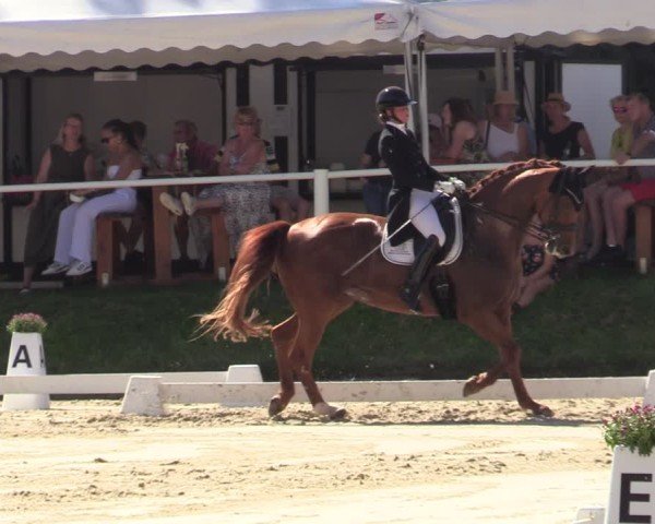 Reitturnier Bergisch Gladbach - Hebborner Hof 2024