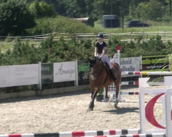 Reitturnier Sauldorf-Boll 2024