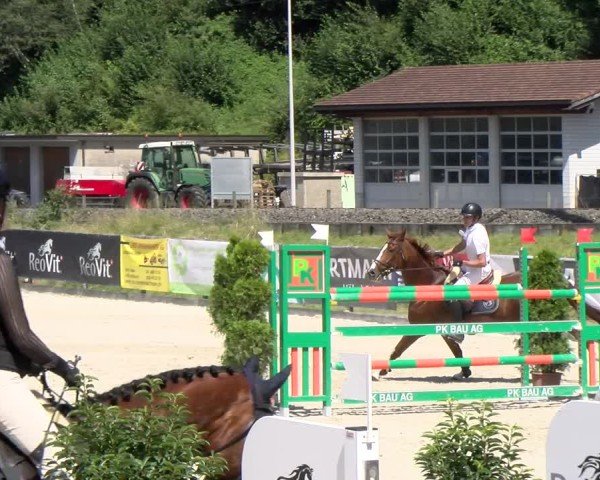 Reitturnier Schüpfheim 2024