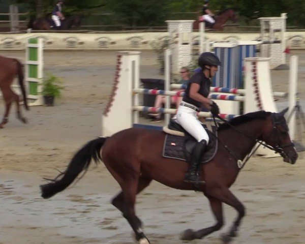 Reitturnier Vellinghausen 2024
