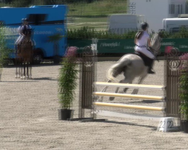 Reitturnier Sauldorf-Boll 2024