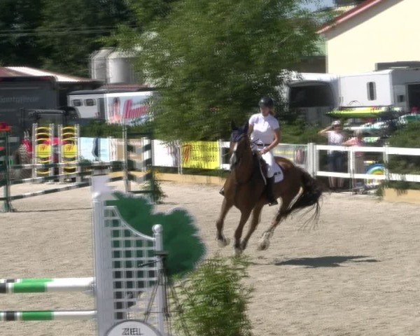Reitturnier Sauldorf-Boll 2024