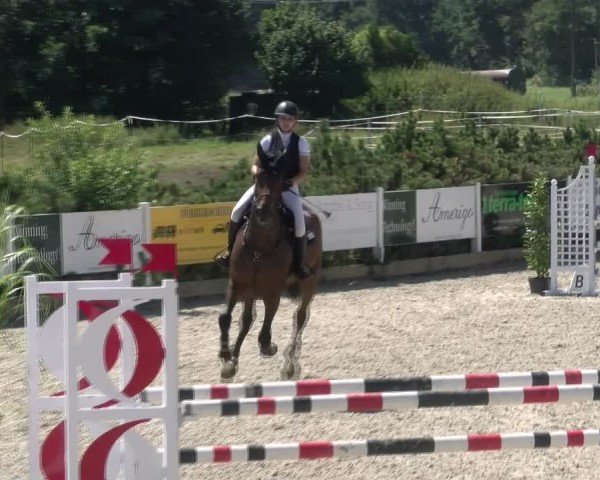 Reitturnier Sauldorf-Boll 2024