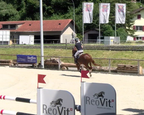 Reitturnier Schüpfheim 2024