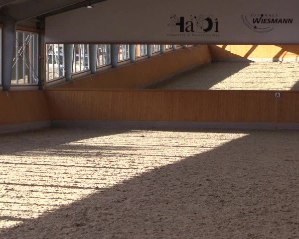 Reitturnier Münster-Amelsbüren 2024