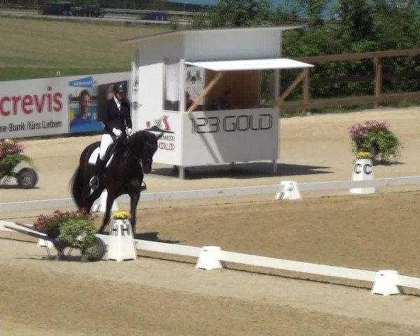 Reitturnier Wädenswil 2024