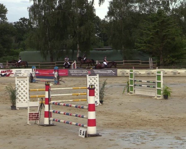 Reitturnier Vellinghausen 2024