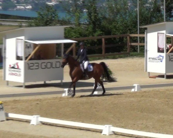 Reitturnier Wädenswil 2024