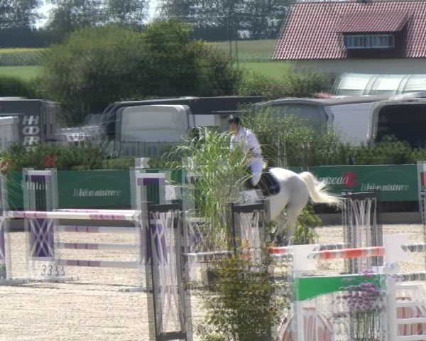 Reitturnier Sauldorf-Boll 2024