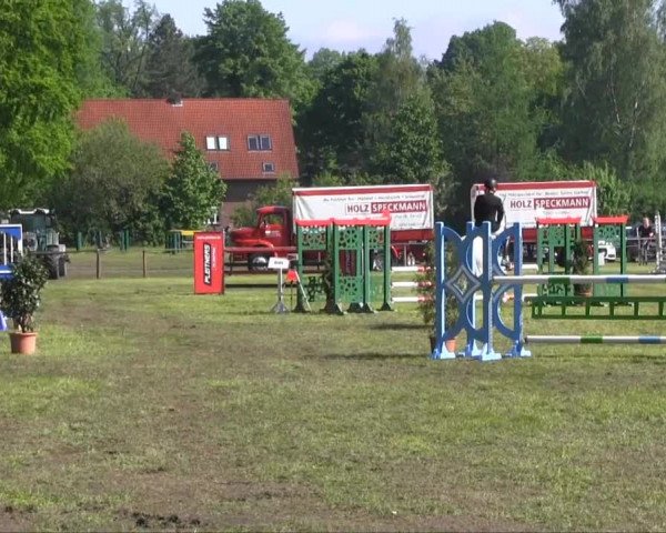 Halle-Tatenhausen Schloßturnier 2013