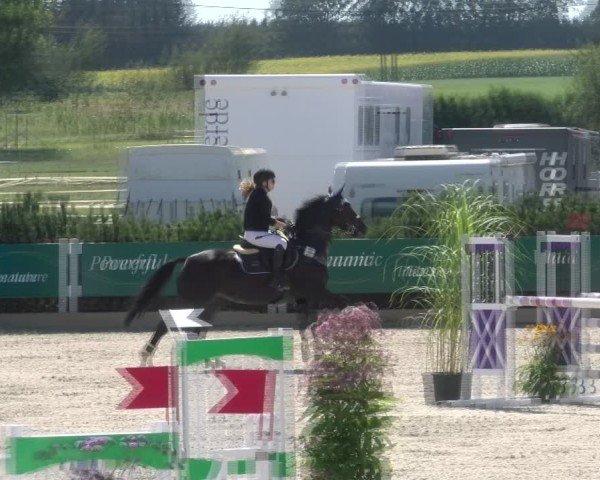 Reitturnier Sauldorf-Boll 2024