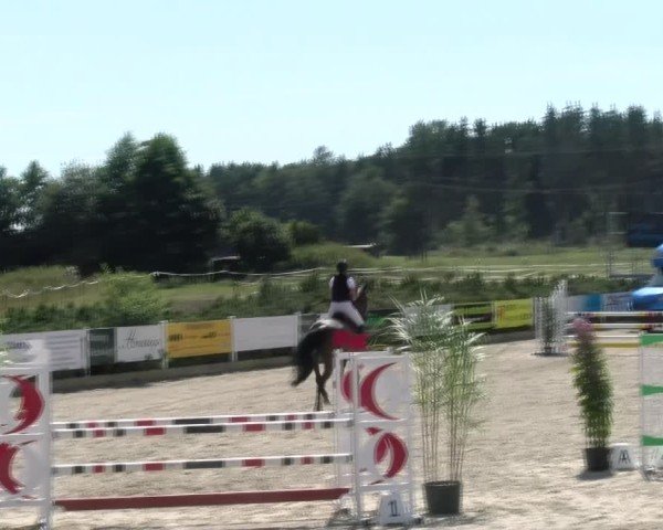 Reitturnier Sauldorf-Boll 2024