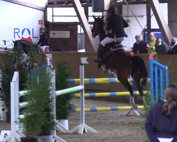 Reitturnier Steinheim 2021