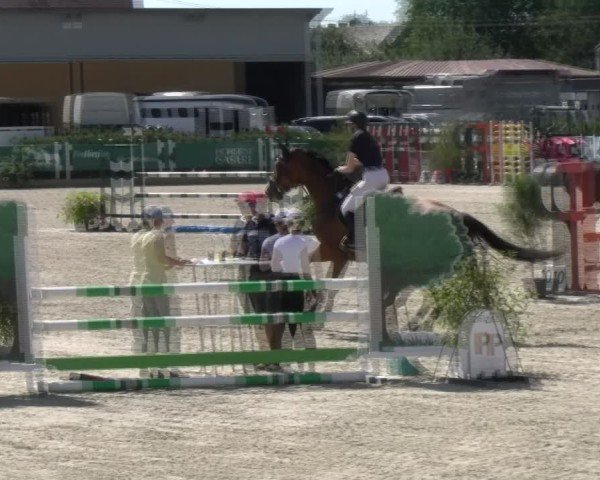Reitturnier Sauldorf-Boll 2024