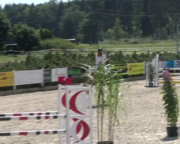 Reitturnier Sauldorf-Boll 2024