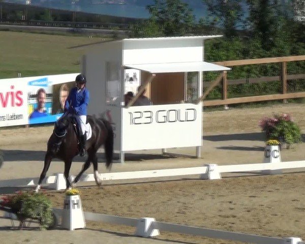 Reitturnier Wädenswil 2024
