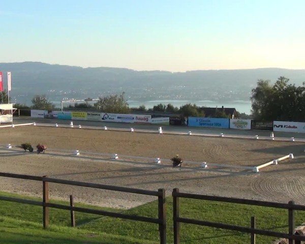 Reitturnier Wädenswil 2024