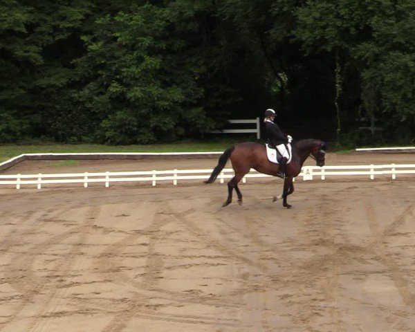 Reitturnier Vellinghausen 2024