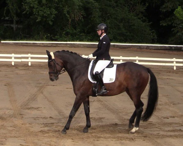 Reitturnier Vellinghausen 2024