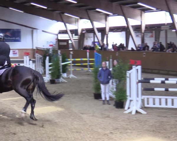 Reitturnier Steinheim 2021