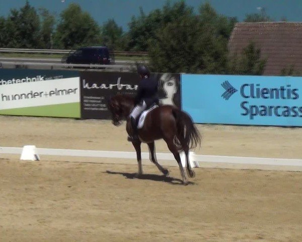 Reitturnier Wädenswil 2024