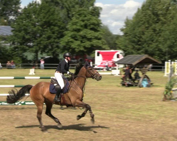 Reitturnier Woldegk 2024