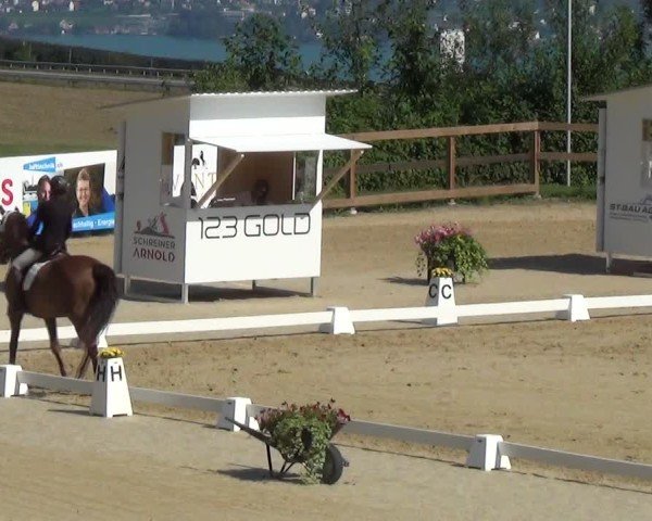 Reitturnier Wädenswil 2024