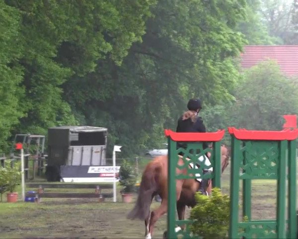 Halle-Tatenhausen Schloßturnier 2013