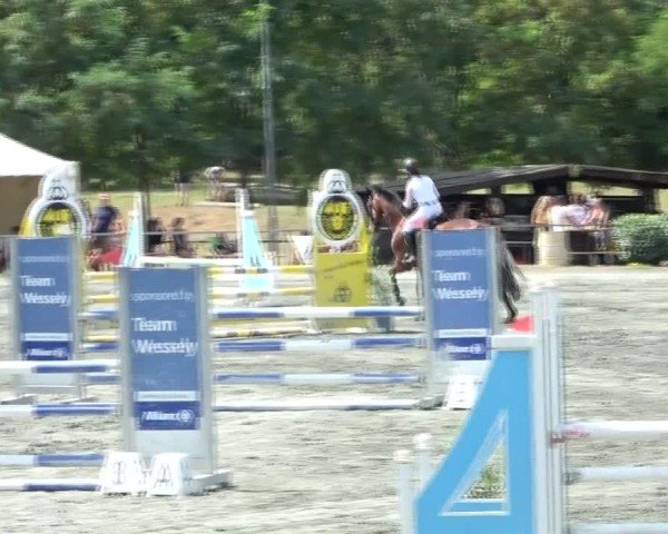 Reitturnier Horitschon 2024