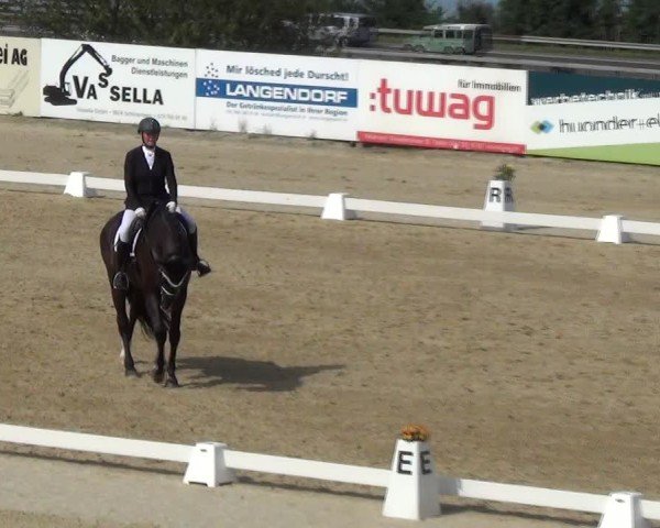 Reitturnier Wädenswil 2024